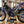 2009 SHERCO ST125