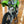 1984 Kawasaki KX250
