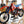 1986 HONDA CR250R