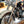 2011 Harley-Davidson Softail Deluxe