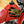 2000 Honda XR100 R