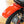 1977 Honda XR75
