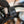 2023 Husqvarna 701 Enduro