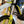 2023 Husqvarna 701 Enduro