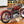 1949 Indian Scout