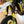2024 Husqvarna 701 Supermoto