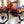 1984 Honda XR350R