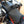 2024 Ducati Multistrada V4 Rally