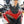 2024 Ducati Multistrada V4 Rally