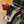 1971 Honda CB350 Super Sport