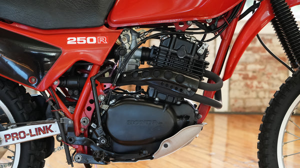 1982 Honda XL250R