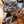 2004 Yamaha FJR1300