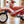 1994 Honda Cub EZ90