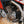 2023 Honda CRF300L Big Wheel
