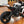 2025 Buell Hammerhead 1190