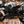 2025 Buell Hammerhead 1190
