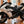 2025 Buell Hammerhead 1190