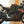 2023 BUELL 1190 HAMMERHEAD