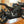 2023 BUELL 1190 HAMMERHEAD