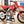 2025 HONDA CR500 AF