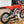 2025 HONDA CR500 AF