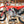 2025 HONDA CR500 AF
