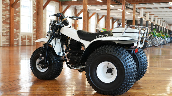 1984 KAWASAKI KLT250-P1