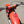 1975 Honda CR125M Elsinore