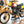1982 Husqvarna 430 CR