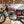 1968 BSA Firebird 650 Scrambler