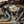 2011 Harley-Davidson Heritage Softail