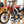 2007 Honda CR500 AF