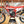 2022 GasGas MC250