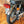 1973 Honda CB500 Four