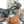 1980 YAMAHA SR250 EXCITER