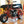 2007 Coleman CT200u Mini Bike