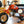 1986 Honda ZA50R
