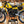 1982 Yamaha YZ100