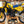 1983 Suzuki RM500
