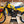 1983 Suzuki RM500