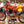 1982 Maico MC250 Alpha 1