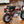 1970 Honda Z50AK1