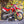 2026 Ducati Desmo 450 EDX