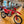 2024 GASGAS EW500F