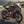 2027 Aprilia RS 457 GP Replica