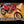 2024 GASGAS EW500F