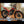 2024 GASGAS TXT 300 GP