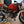 2010 Ducati Monster 696