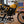 1978 Suzuki RM250
