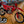 2024 GASGAS EW500F